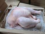 Turkey turkey meat - photo 1