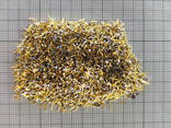 10 Gram Gold Plated Cpu Pins For Scrap Gold Recovery - photo 3