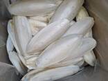 2023 Hot Sale Cuttlefish Bones Dried cuttlefish bone Cuttle fish bone - фото 6