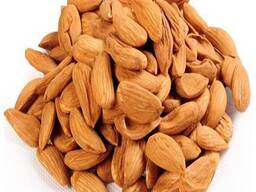 Almond Nuts