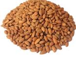 Almond Nuts - photo 3