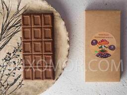 Amanita vegan chocolate 100 g - 15 bars of 1 g of amanita / Мухоморний веган шоколад
