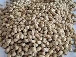 Nourish Naturally – Clean, Powerful Feed for Livestock &amp; Poultry - photo 1