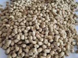 Tailored Feed Solutions – From Our Farm to Your Barn