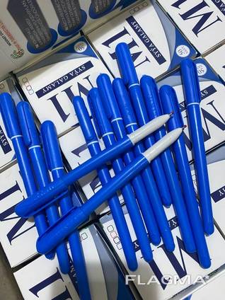 Ballpoint pen