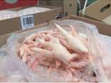 Best Brand Chicken feet Frozen Packed For Sale/ Where To buy Frozen chicken - photo 1