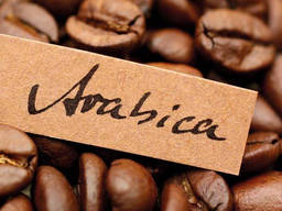 Best Price Roasted Arabica Coffee Bean From Vietnam