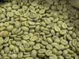Best Price Roasted Arabica Coffee Bean From Vietnam - photo 2