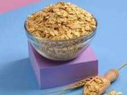 Best Quality oats at wholesale price