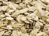 Best Quality oats at wholesale price - photo 2