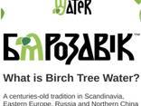 Birch juice, 100% natural, PET bottle. Сок березовый, 100% натуральный, ПЭТ-бутылка - photo 1