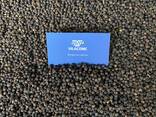 Black Pepper 550G/L FAQ - photo 2