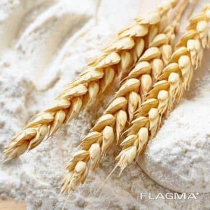 FLOUR wholesale in 50 kg bags and 1 kg packs