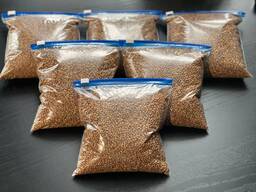 Buckwheat / buckwheat groats fried. wholesale. Top quality. packing 50kg. Pickup or deliv