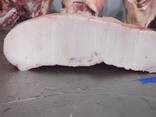 Buffalo Meat (Halal), Sheep Tail Fat - photo 9