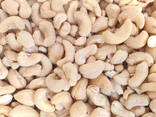 Cashew nuts - photo 2
