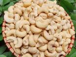 Cashew Nuts. . - photo 1