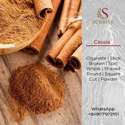 Cassia Stick / Powder from Vietnam