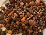 Cow Gallstones in USA - фото 2