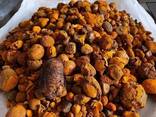 Cow Gallstones in USA - фото 3