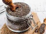 Chia for sale at good price - фото 2