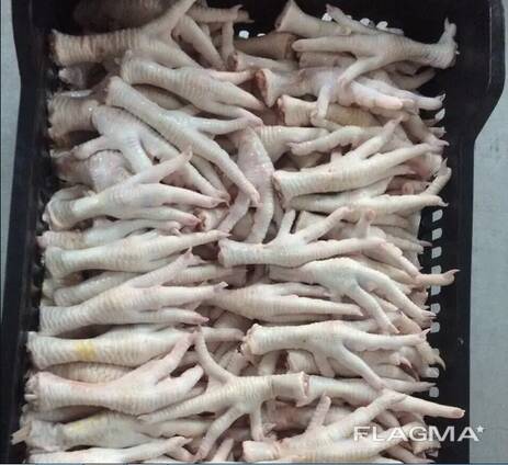Chicken feet and chicken paws and whole halal chicken at the best prices with prompt shipping