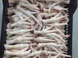 Chicken Feet and chicken paws and whole halal chicken at the best prices with prompt shipp