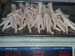 Chicken feet and chicken paws and whole halal chicken at the best prices with prompt shipping - photo 5