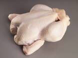 Frozen chicken paws for sell - photo 3