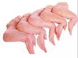 Chicken Wings - photo 3