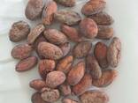 Cocoa Powder Cocoa Beans - photo 2