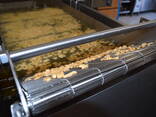 Continuous fryer 400/1100/12 - photo 3