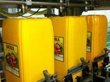 Cooking Oil - photo 1