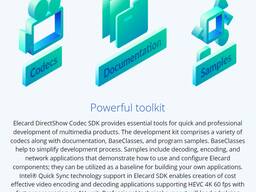 DirectShow Codec SDK