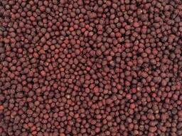 Dried hawthorn berries herbs