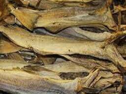 Dry Stock Fish / Dry Stock Fish Head / dried salted cod Dry Stockfish