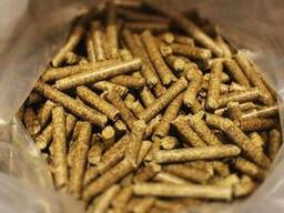Selling Pini-Kay, RUF, Nestro Briquettes & Wood Pellets