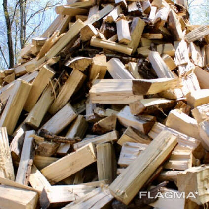 Excellent Hot sale Quality Firewood/Oak fire wood/Beech/Ash/Spruce//Birch firewood