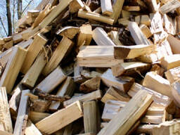 Excellent Hot sale Quality Firewood/Oak fire wood/Beech/Ash/Spruce//Birch firewood