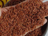 Exotic and Healthy rice from Vietnam - фото 3