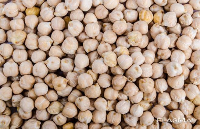 Export Chickpeas