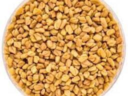Fenugreek seed for sale