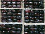 Dates - photo 6