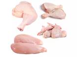 Fresh Frozen Chicken Frozen Chicken Middle 3 Joint Wing at Best Price