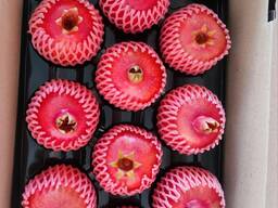 Fresh pomegranates