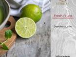 Fresh Seedless Lime from Vietnam - photo 1