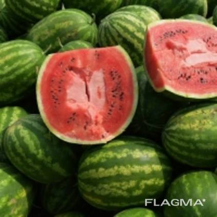 Fresh Watermelon Fruit with High quality From Vietnam