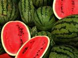 Fresh Watermelon Fruit with High quality From Vietnam - photo 2