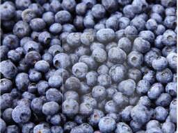 Frozen berries, fruits, berry-fruit and compote mixes.