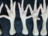 Frozen chicken paws for sell - photo 1
